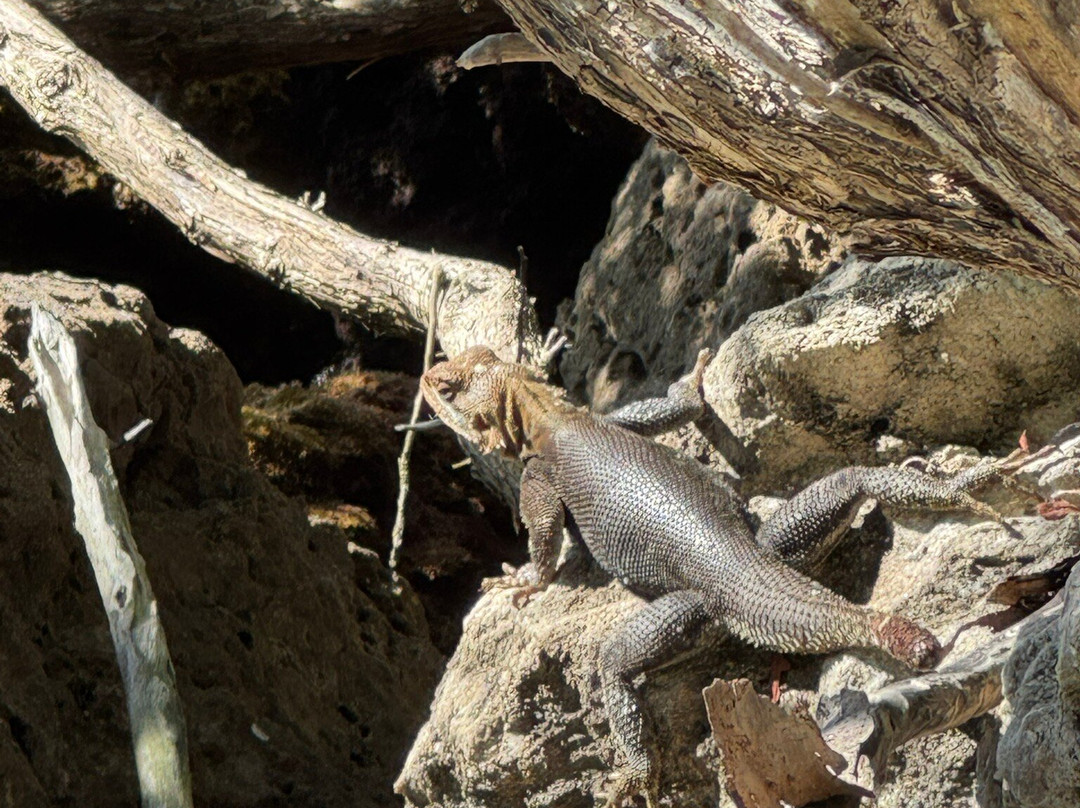 Biscayne National Park-霍姆斯特德必去景点