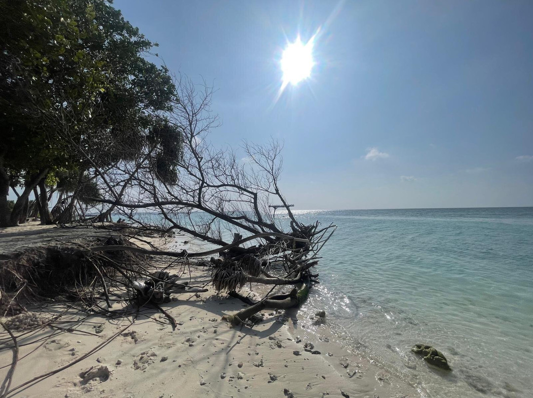 Beach Star Maldives主图