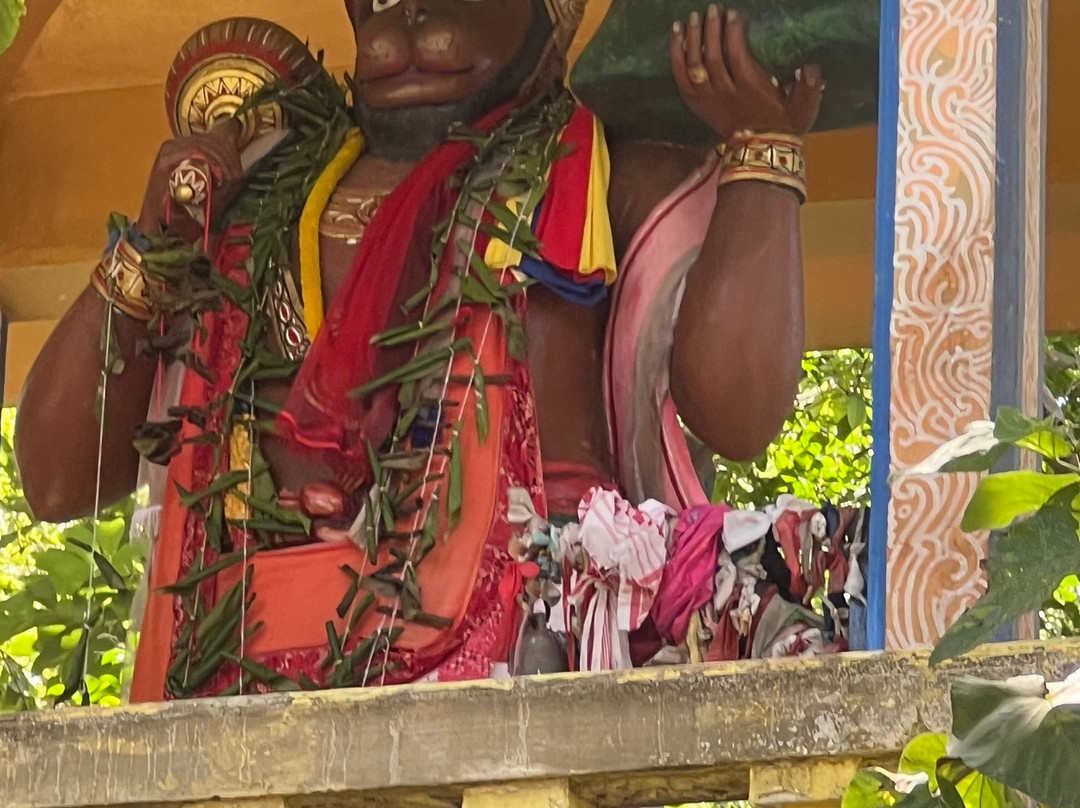 SS Lanka Tours-凯拉尼亚必去景点