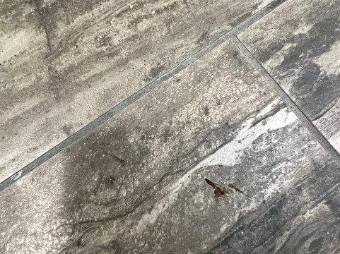 汉普顿旅店 旧金山机场宾馆主图