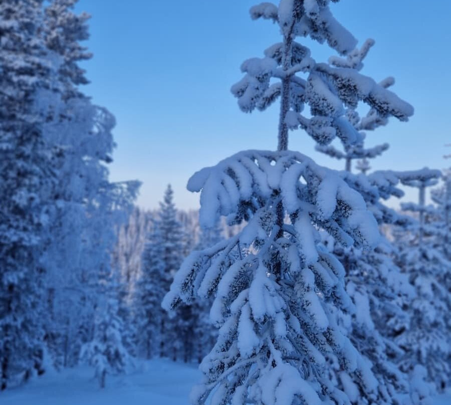 B&B Adventures主图