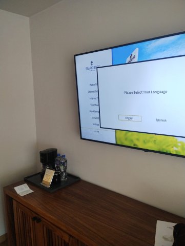 马萨特兰商场酒店-客卧