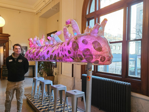 Pretty Gritty Tours-塔科马必去景点