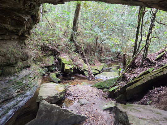 Del Rey Climb-德尔雷伊必去景点