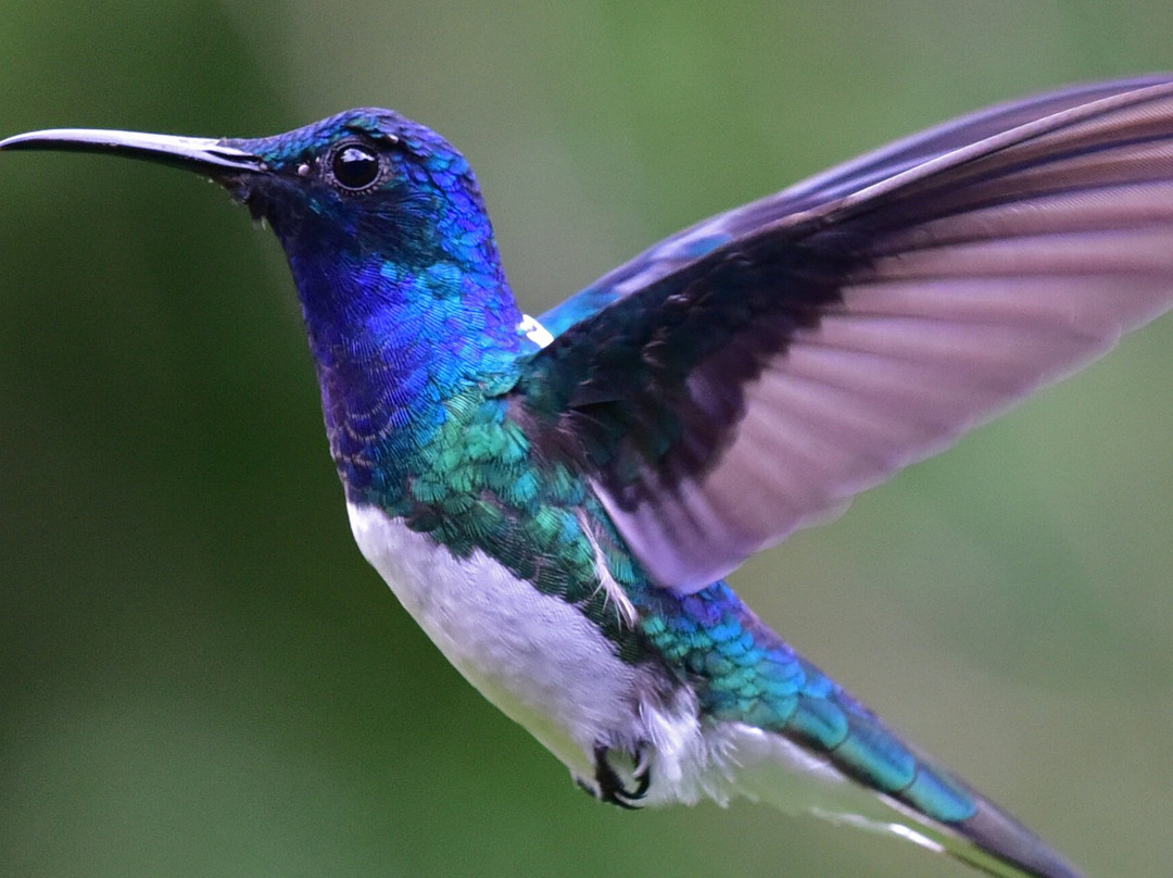 Dave & Dave's Costa Rica Nature Park-La Virgen必去景点
