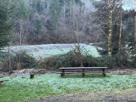 Drift Creek Covered Bridge-林肯城必去景点