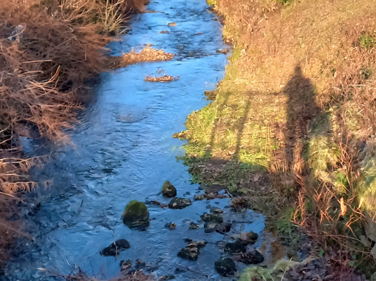 Schweizer Wiese-巴特黑雷纳尔布必去景点