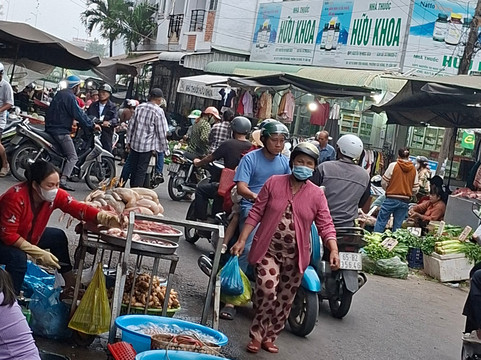 Homey Travel-芹苴必去景点