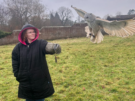 UK Owl And Raptor Centre-Groombridge必去景点