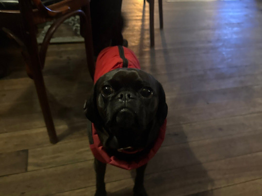 The Arena Tavern-莱奇沃思必去景点