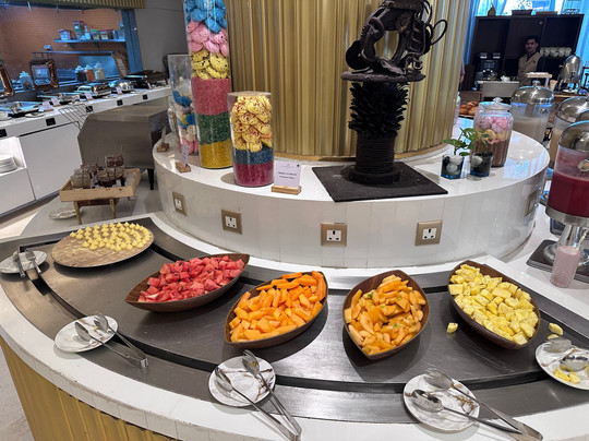 Taj Gandhinagar Resort & Spa主图