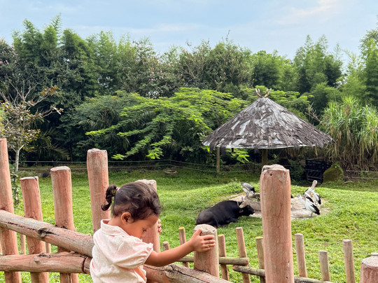 Baobab Safari Resort主图