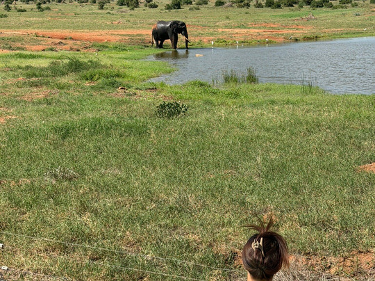 Nero Guida Turistica-瓦塔木必去景点