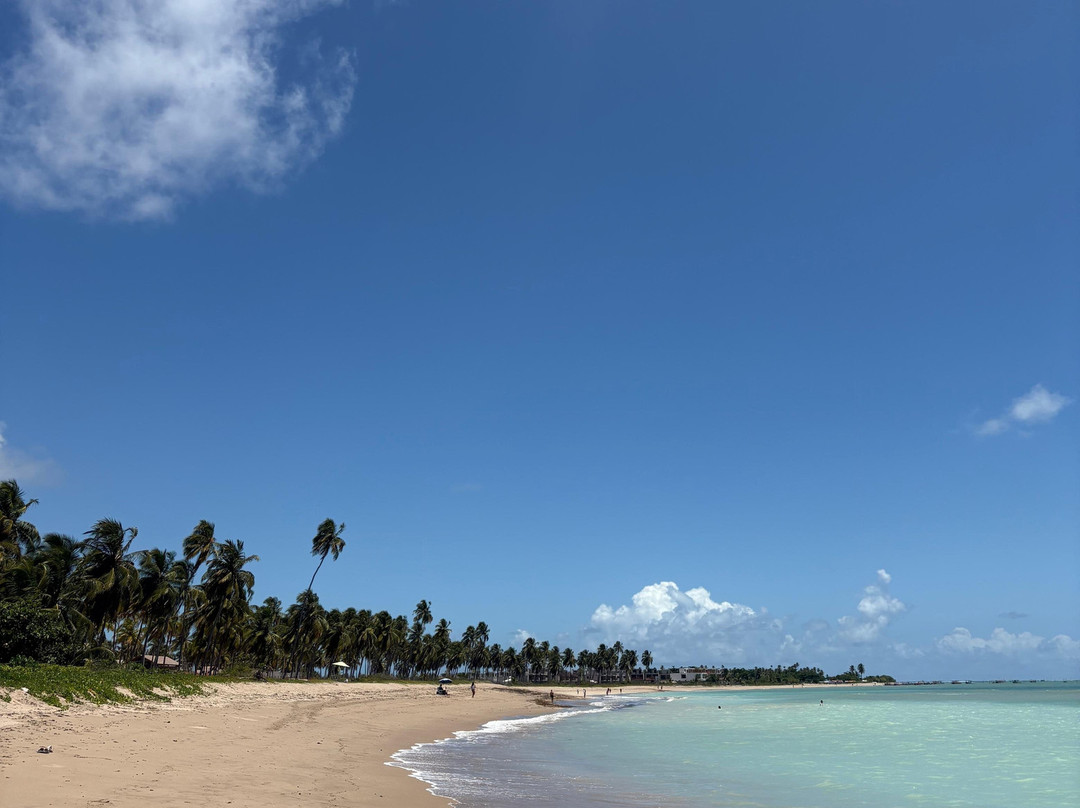 Japaratinga Visit Tur-Japaratinga必去景点