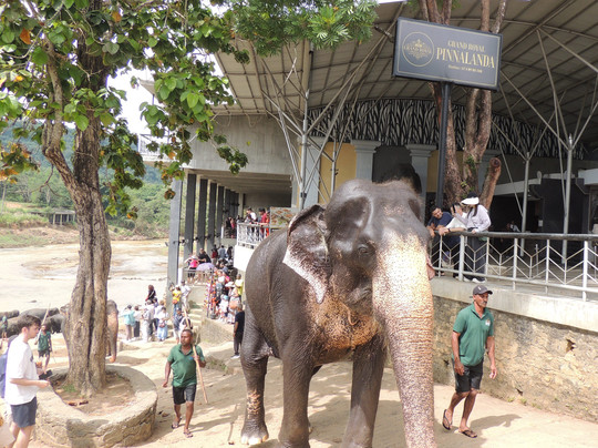 One & Only Travels-Kurunegala必去景点