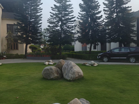 Naturoville Wellness Resort Rishikesh - Surrounded by Nature, Rooted in Wellness主图