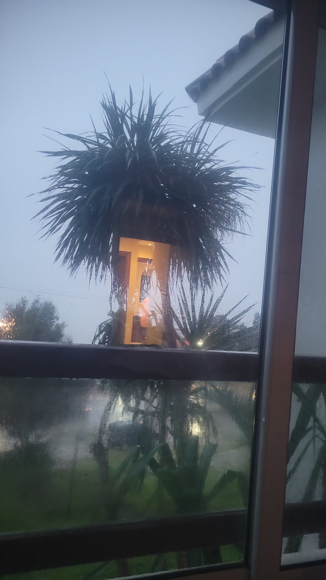 姆纳尔城堡酒店-官方