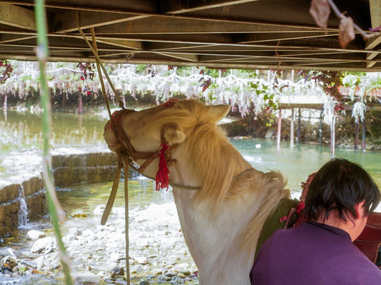 Cat Cat village-沙巴必去景点