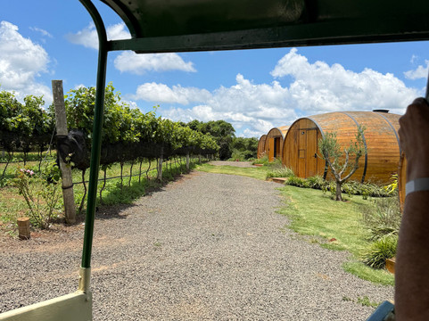 Vinícola Dejota-Pardinho必去景点