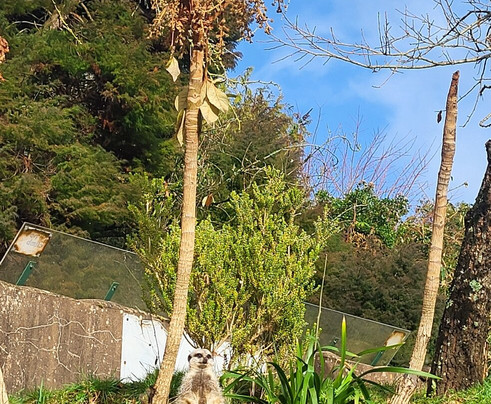 Paignton Zoo Environmental Park-佩恩顿必去景点