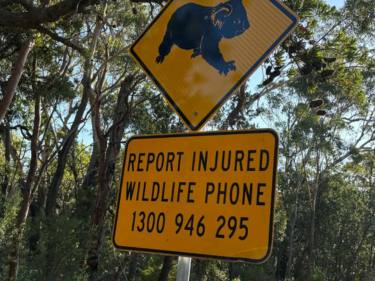 Port Stephens Koala Sanctuary-One Mile必去景点