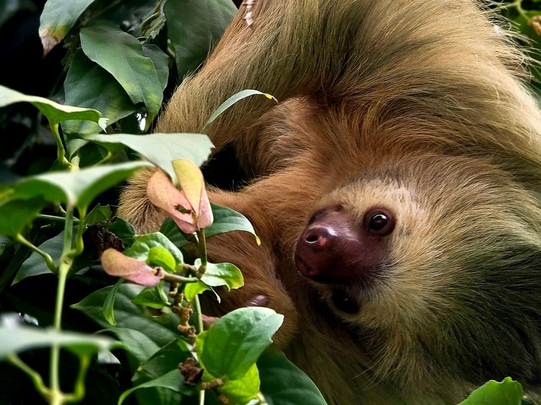 Costa Rica Decouverte-圣何塞必去景点