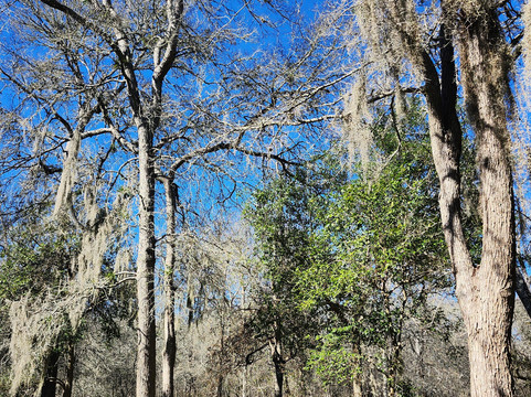 Palmetto State Park-Gonzales必去景点