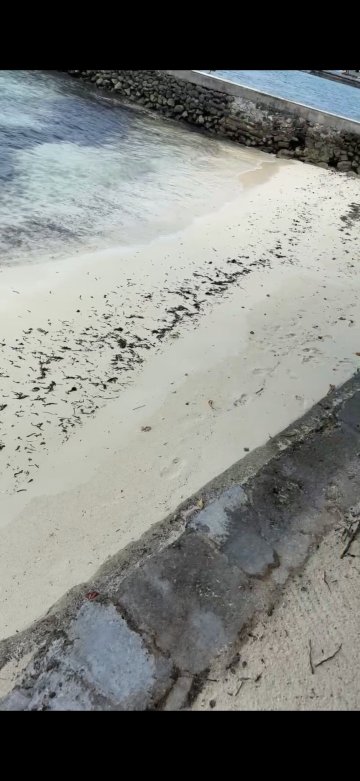 赤道村酒店-官方