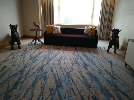 希尔顿阿姆斯特丹酒店主图