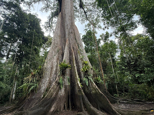 Amazon Experience-伊基托斯必去景点