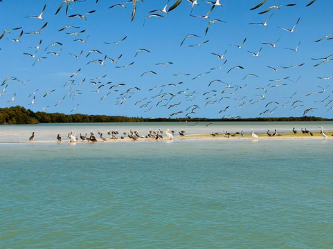 Isla De La Pasión-Holbox必去景点
