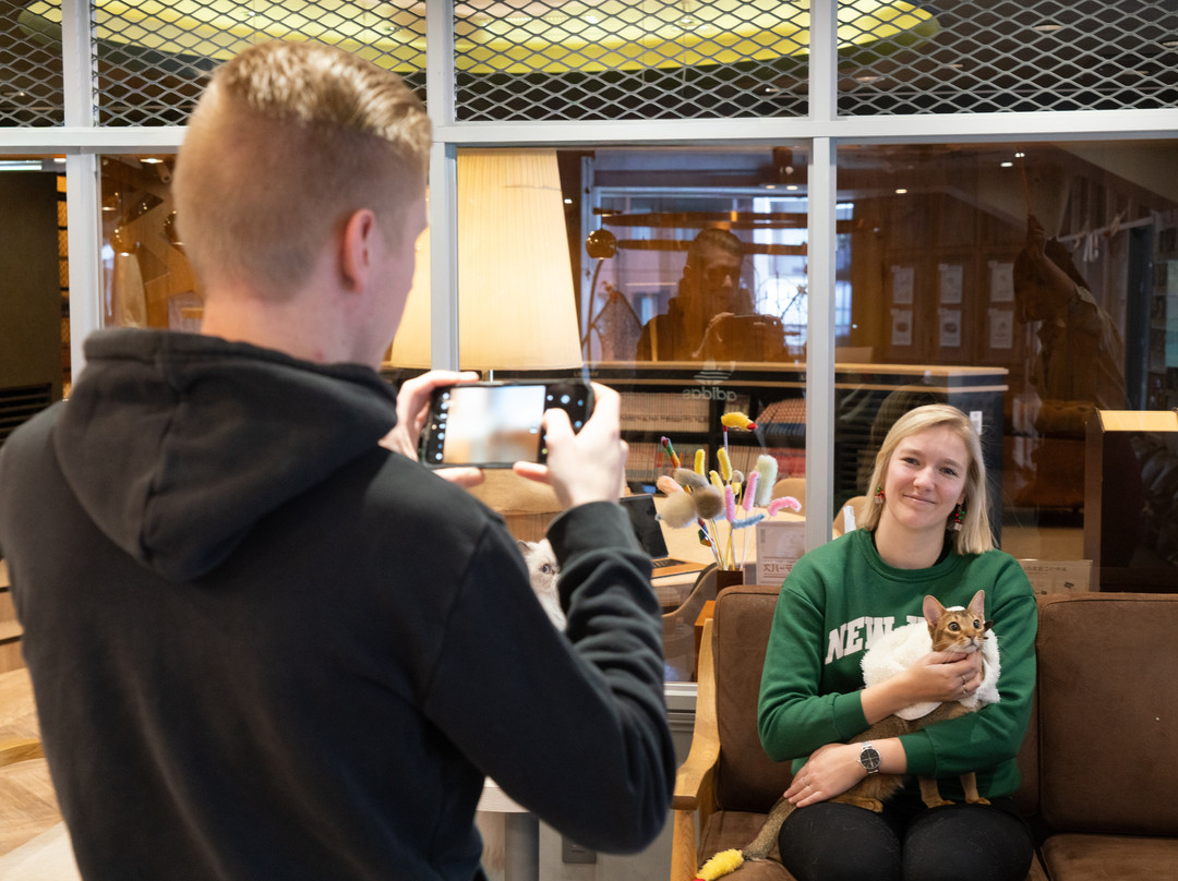 Cat Cafe Mocha Lounge Shibuya Koen-dori Branch-涩谷区必去景点