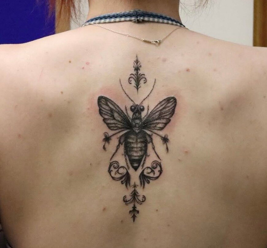 TAG Studio-索尔塔什必去景点