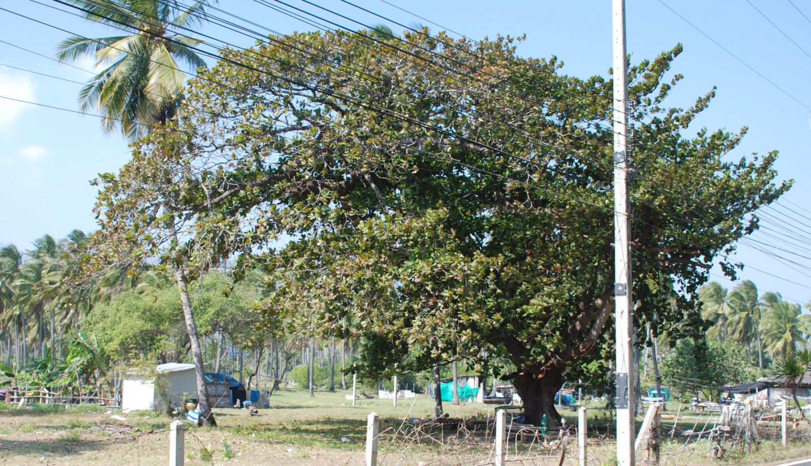 Namaste Resort-官方