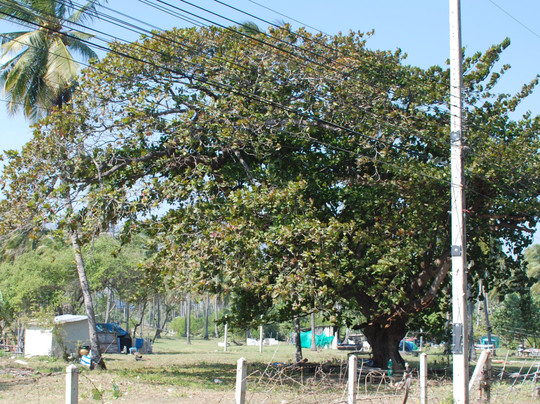 Namaste Resort主图