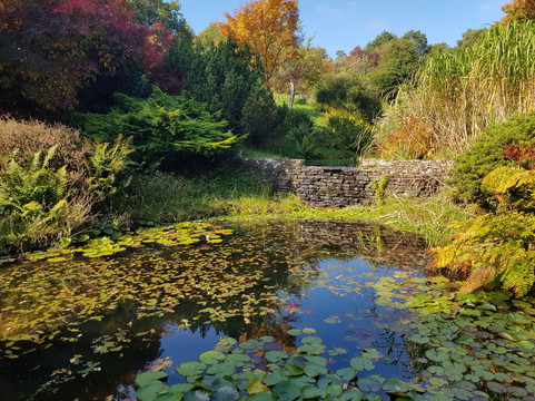 High Beeches Garden-Handcross必去景点