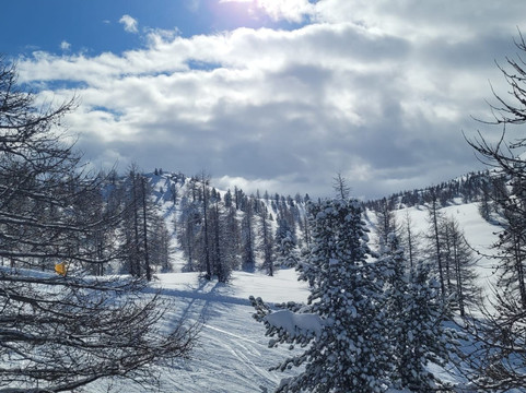 Club Hotel Solaris主图