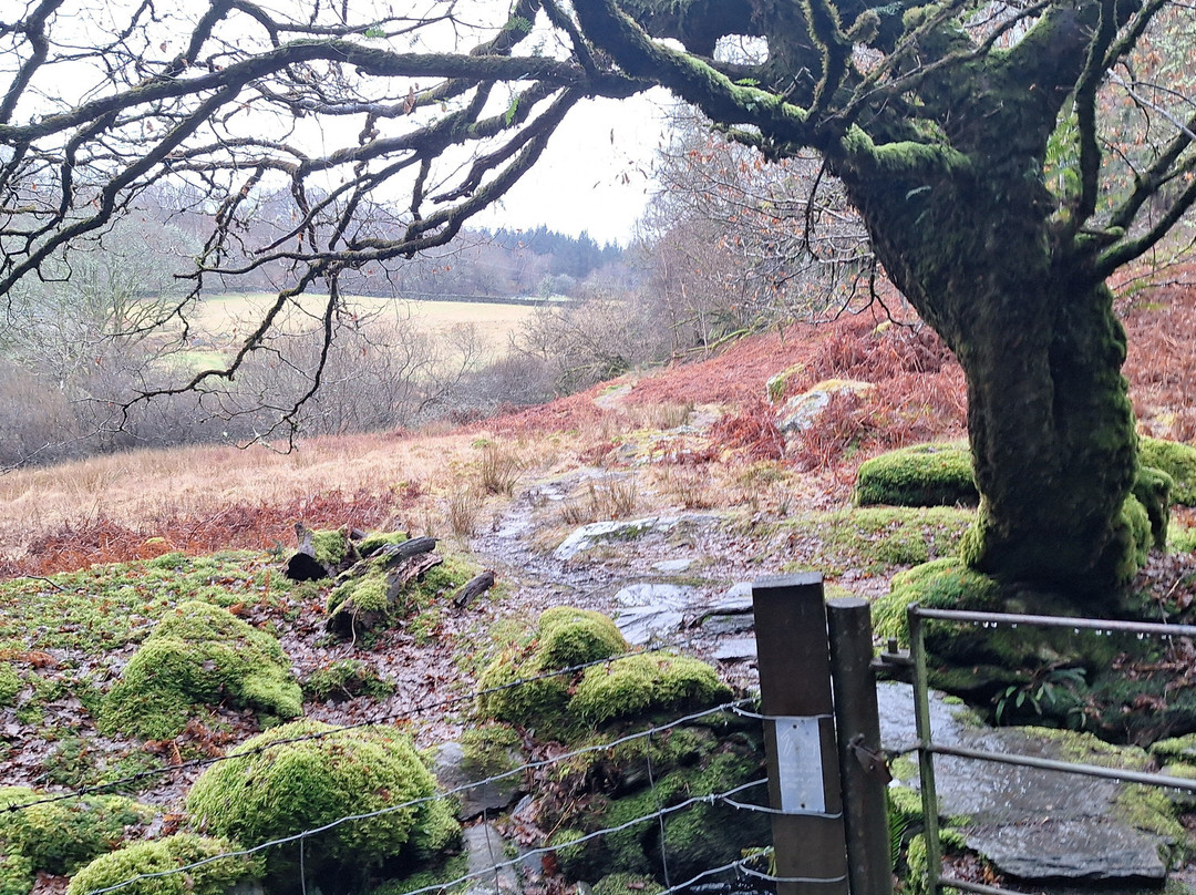 Ty Capel-Betws-y-Coed必去景点
