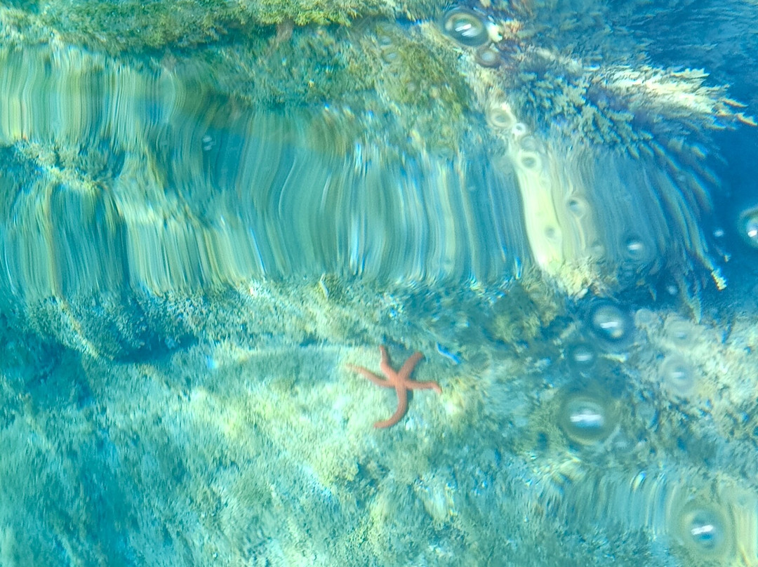 E-kayakcanarias-Tarajalejo必去景点