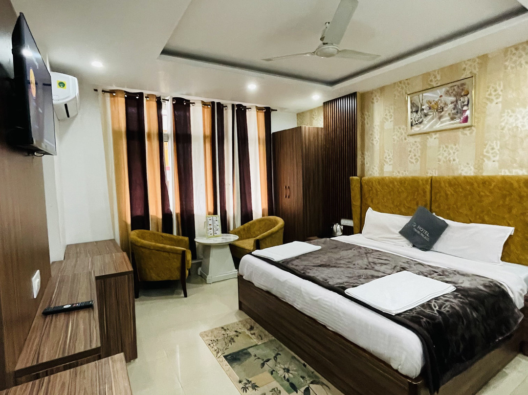 Hotel Anand Palace主图