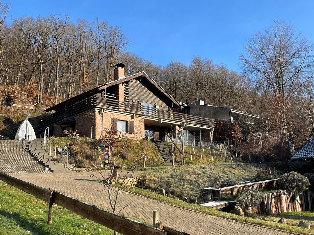 蒂芬巴赫潘森酒店主图