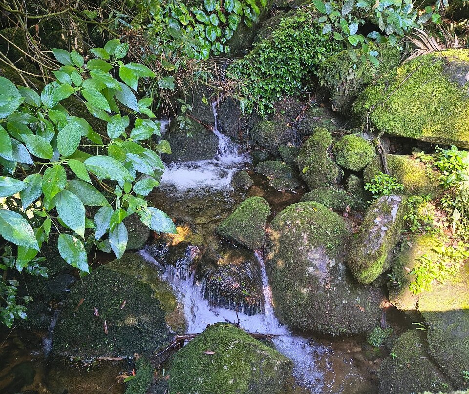 Pedra do Sino-Guapimirim必去景点