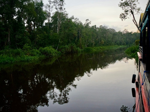 Dolphindo Tour Orangutan Tanjung Puting-Kumai必去景点