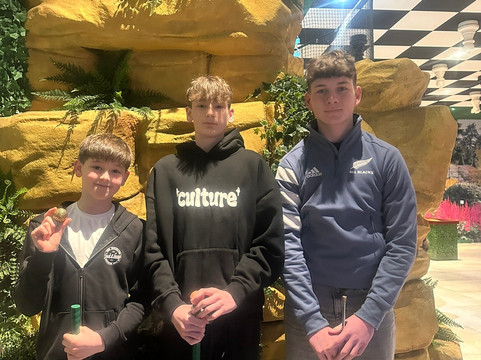 The Flower Bowl Entertainment Centre-Barton必去景点