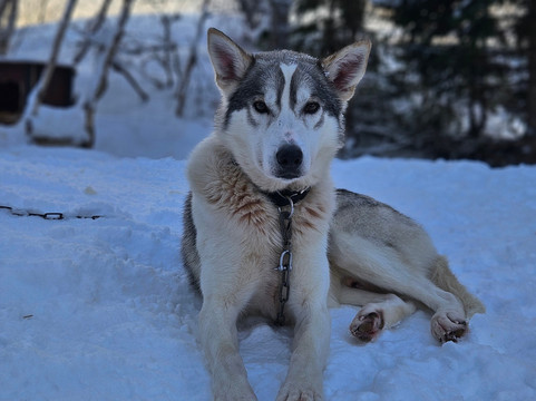 Into Nature-Meistervik必去景点
