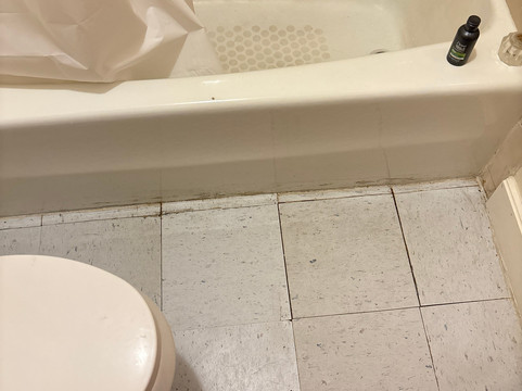 The Island Garden Hotel