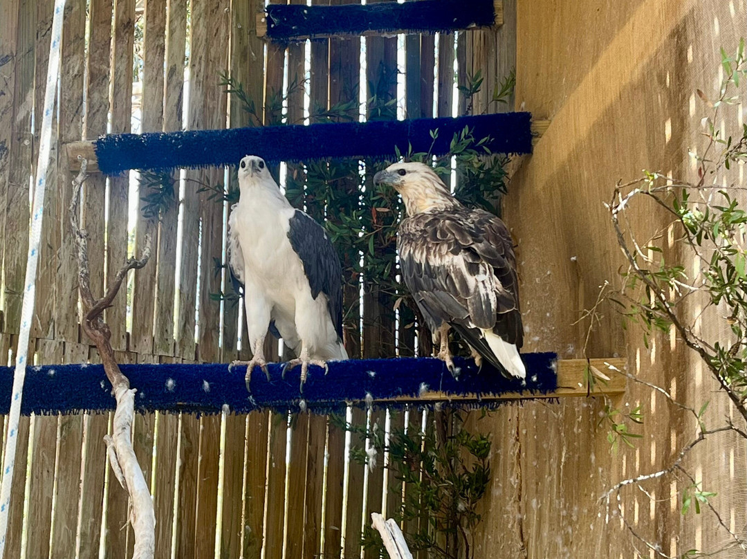 Raptor Refuge-Kettering必去景点