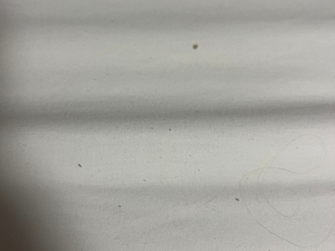 SKYLARANNA 度假村和SPA主图