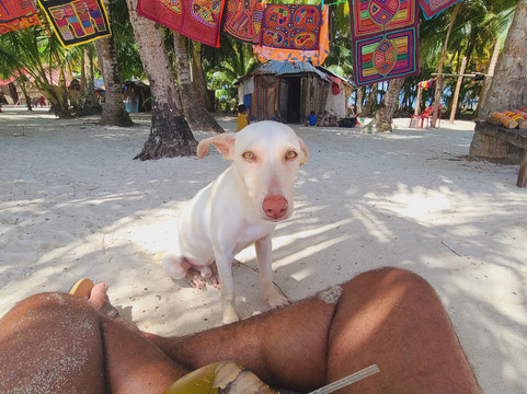 San Blas Frontera-Carti Tupile必去景点
