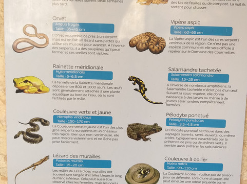 Tourrettes-sur-Loup - Village Medieval-Tourrettes-sur-Loup必去景点